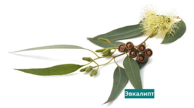 Спондилоартроз пояснично-крестцового отдела позвоночника, что это такое и как лечить?