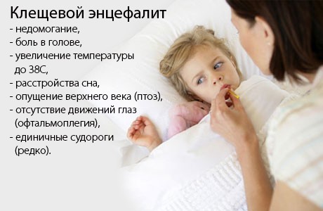 Симптомы и лечение клещевого энцефалита